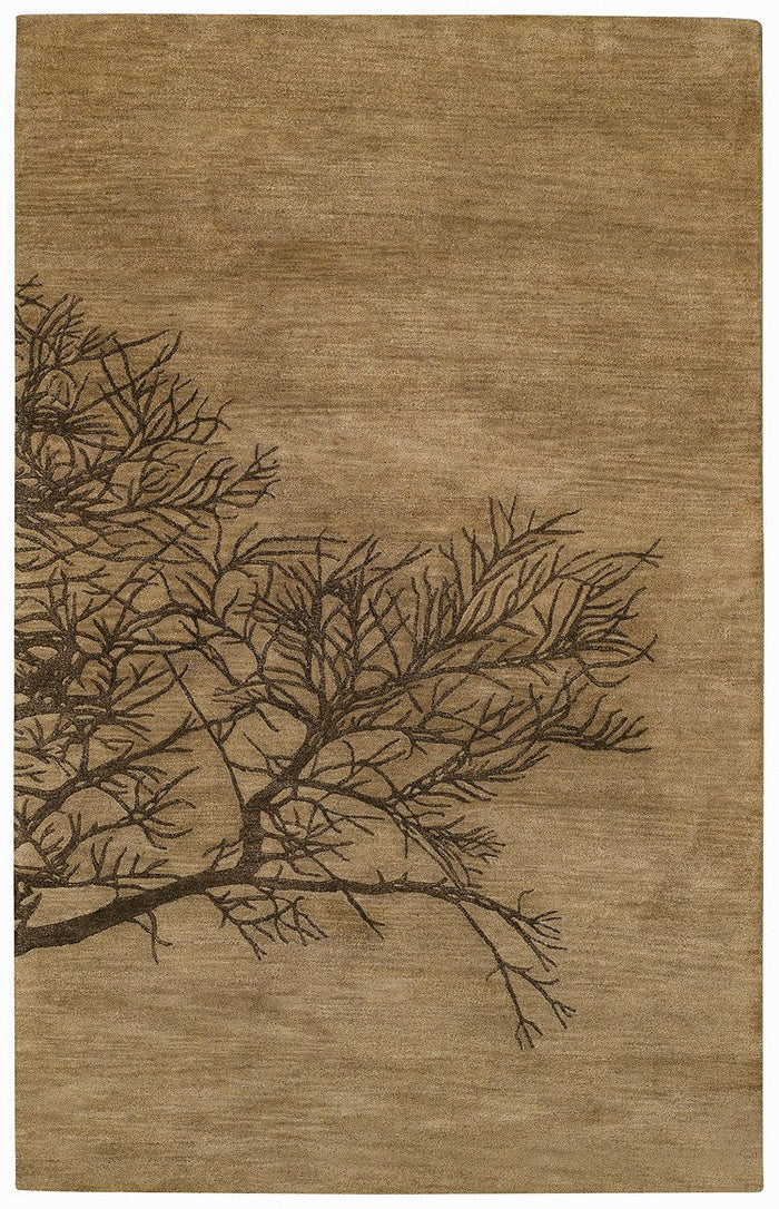 Graphique-shadow Branch