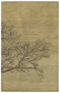 Graphique-shadow Branch