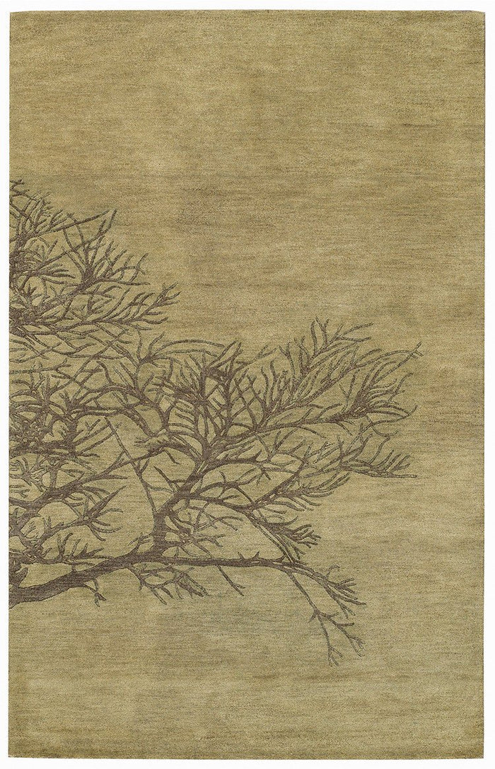 Graphique-shadow Branch
