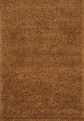 Dion Shag