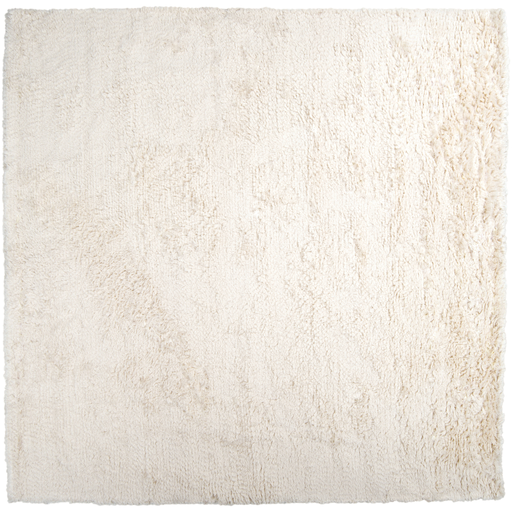 Ash1300-8sq